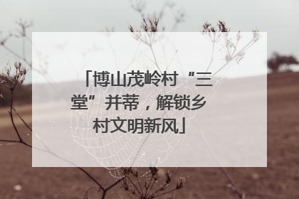 博山茂岭村“三堂”并蒂，解锁乡村文明新风