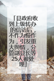 县政府收到上级转办的信访后，不作为慢作为，引发重大舆情，分管副县长等25人被处理