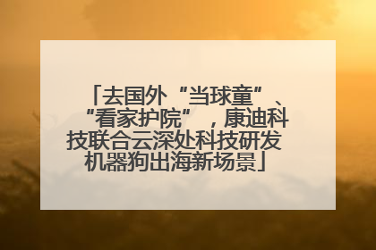 去国外“当球童”、“看家护院”，康迪科技联合云深处科技研发机器狗出海新场景
