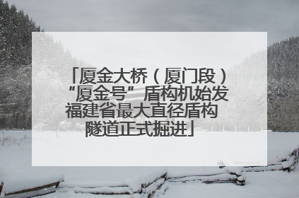 厦金大桥（厦门段）“厦金号”盾构机始发 福建省最大直径盾构隧道正式掘进