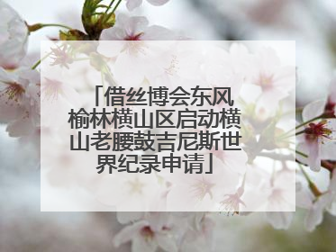 借丝博会东风 榆林横山区启动横山老腰鼓吉尼斯世界纪录申请