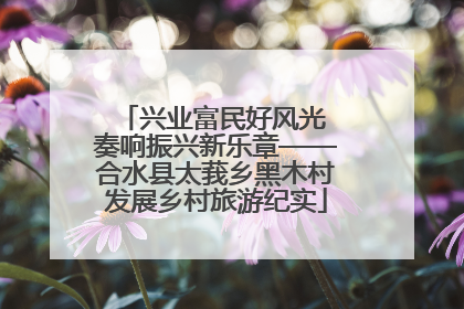兴业富民好风光 奏响振兴新乐章——合水县太莪乡黑木村发展乡村旅游纪实