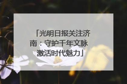 光明日报关注济南：守护千年文脉 激活时代魅力