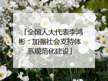 全国人大代表李鸿彬：加强社会支持体系规范化建设