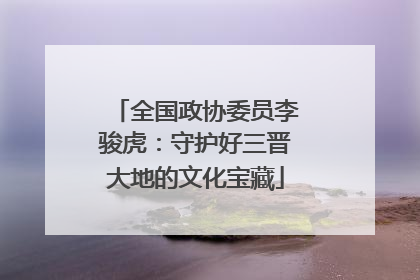 全国政协委员李骏虎：守护好三晋大地的文化宝藏