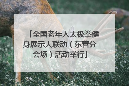 全国老年人太极拳健身展示大联动（东营分会场）活动举行