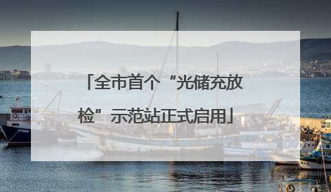 全市首个“光储充放检”示范站正式启用