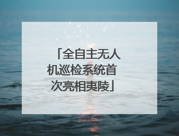 全自主无人机巡检系统首次亮相夷陵