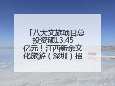 八大文旅项目总投资额13.45亿元！江西新余文化旅游（深圳）招商推介会举行