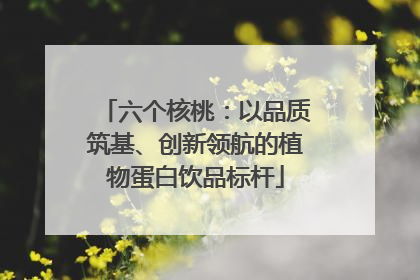 六个核桃：以品质筑基、创新领航的植物蛋白饮品标杆