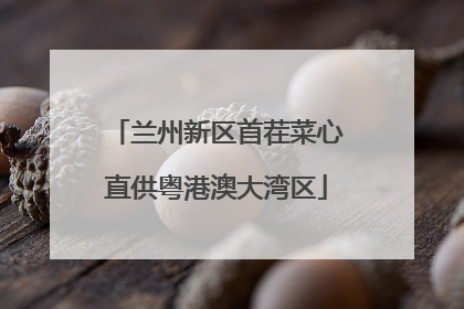 兰州新区首茬菜心直供粤港澳大湾区