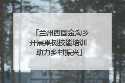 兰州西固金沟乡开展果树技能培训 助力乡村振兴