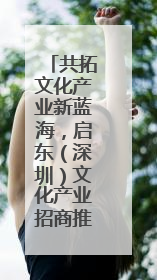 共拓文化产业新蓝海，启东（深圳）文化产业招商推介会举行