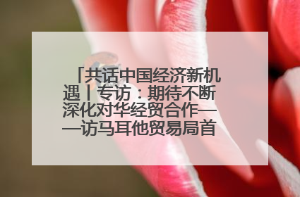 共话中国经济新机遇丨专访：期待不断深化对华经贸合作——访马耳他贸易局首席执行官布蒂吉格