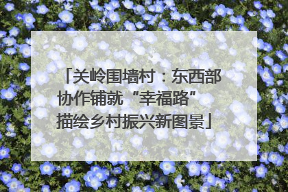 关岭围墙村：东西部协作铺就“幸福路” 描绘乡村振兴新图景