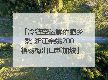 冷链空运解侨胞乡愁 浙江余姚200箱杨梅出口新加坡