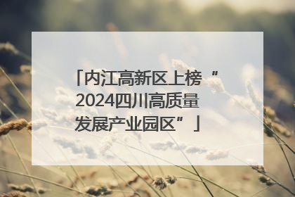 内江高新区上榜“2024四川高质量发展产业园区”