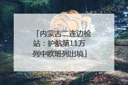 内蒙古二连边检站：护航第11万列中欧班列出境