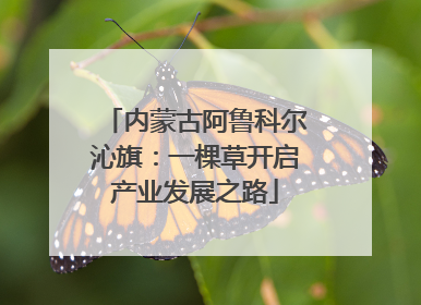 内蒙古阿鲁科尔沁旗：一棵草开启产业发展之路