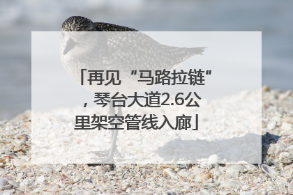 再见“马路拉链”，琴台大道2.6公里架空管线入廊