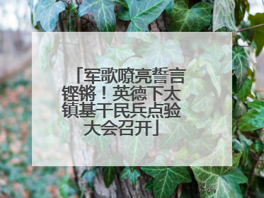 军歌嘹亮誓言铿锵！英德下太镇基干民兵点验大会召开