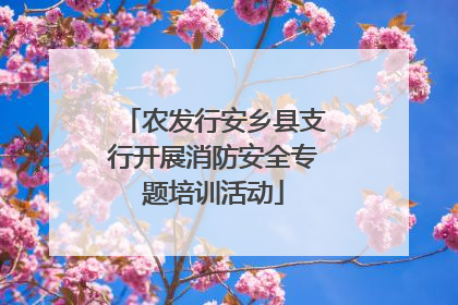 农发行安乡县支行开展消防安全专题培训活动