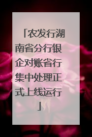 农发行湖南省分行银企对账省行集中处理正式上线运行