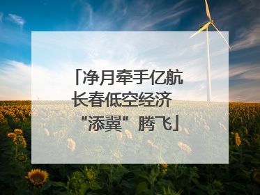 净月牵手亿航 长春低空经济“添翼”腾飞