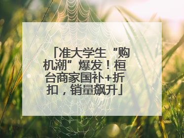 准大学生“购机潮”爆发！桓台商家国补+折扣，销量飙升