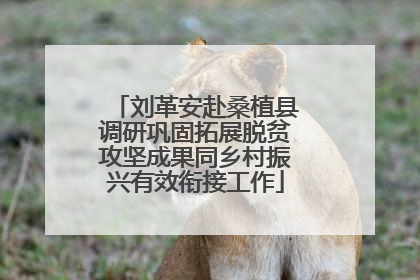 刘革安赴桑植县调研巩固拓展脱贫攻坚成果同乡村振兴有效衔接工作