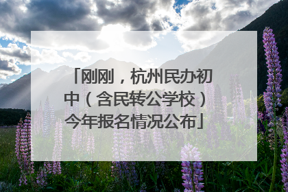 刚刚，杭州民办初中（含民转公学校）今年报名情况公布