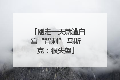 刚走一天就遭白宫“背刺” 马斯克：很失望