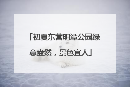 初夏东营明潭公园绿意盎然，景色宜人