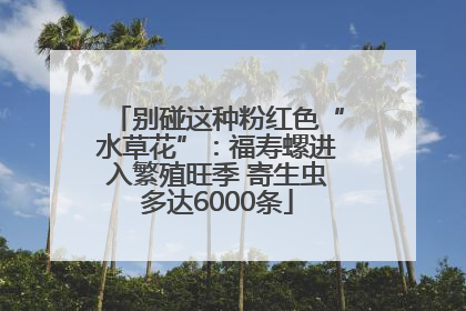 别碰这种粉红色“水草花”：福寿螺进入繁殖旺季 寄生虫多达6000条