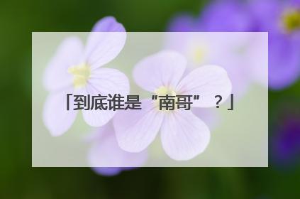 到底谁是“南哥”？