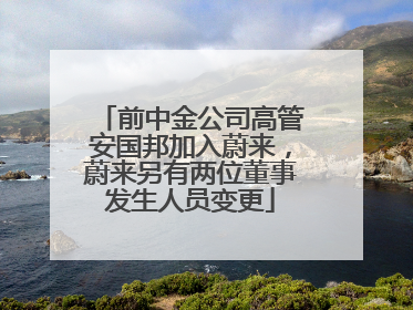 前中金公司高管安国邦加入蔚来，蔚来另有两位董事发生人员变更