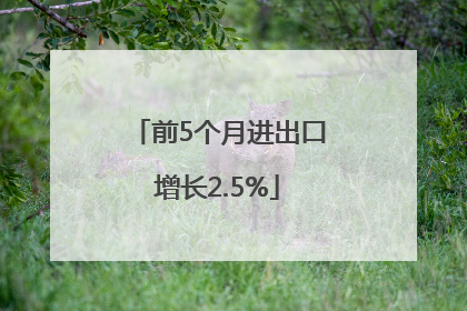 前5个月进出口增长2.5%