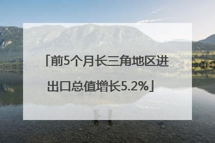 前5个月长三角地区进出口总值增长5.2%