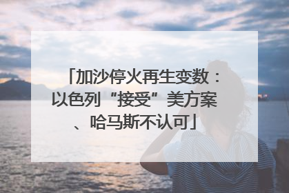 加沙停火再生变数：以色列“接受”美方案、哈马斯不认可