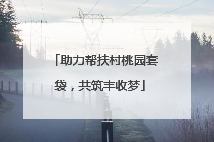 助力帮扶村桃园套袋，共筑丰收梦