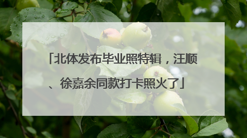 北体发布毕业照特辑，汪顺、徐嘉余同款打卡照火了