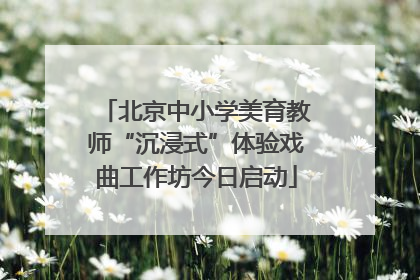 北京中小学美育教师“沉浸式”体验戏曲工作坊今日启动