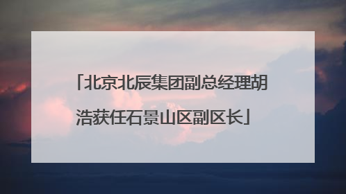 北京北辰集团副总经理胡浩获任石景山区副区长