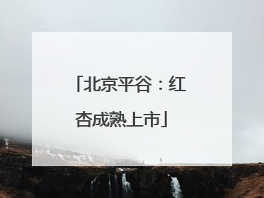 北京平谷：红杏成熟上市