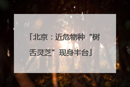 北京：近危物种“树舌灵芝”现身丰台