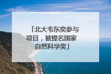 北大韦东奕参与项目，被提名国家自然科学奖