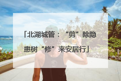 北湖城管：“剪”除隐患树“修”来安居行