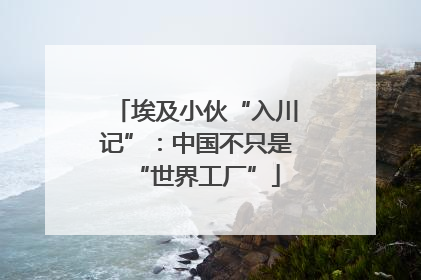 埃及小伙“入川记”：中国不只是“世界工厂”