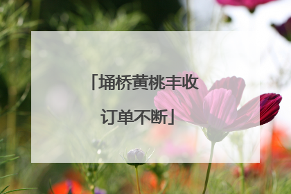 埇桥黄桃丰收 订单不断