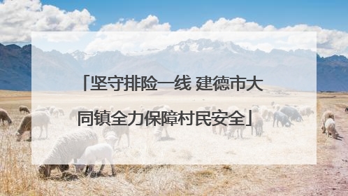 坚守排险一线 建德市大同镇全力保障村民安全